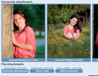 horizontal.gif